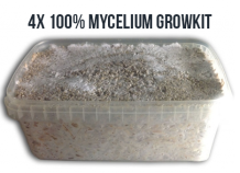 images/productimages/small/4x 100 mycelium growkits.png